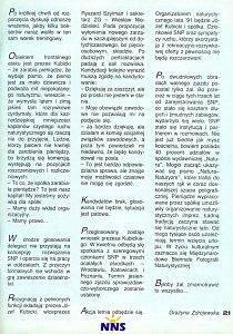 alt obrazka?????