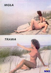  alt obrazka?????